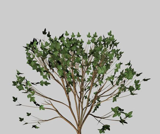 Cinema 4D Bush Tree 3D Model