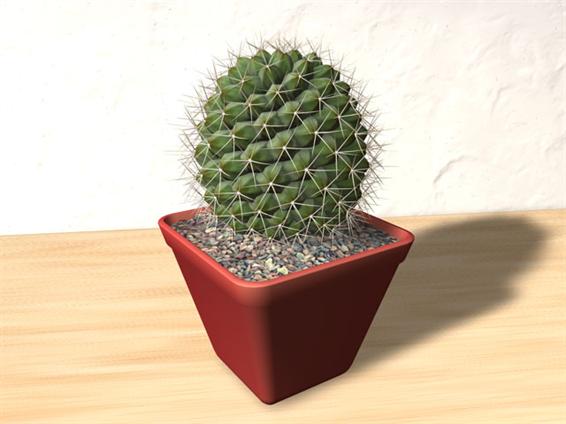 Mammilaria 3D Model