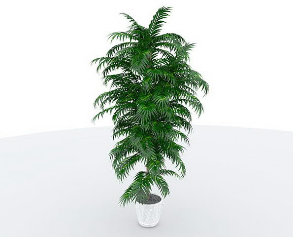 Big Fern With Flower Pot 3D Model