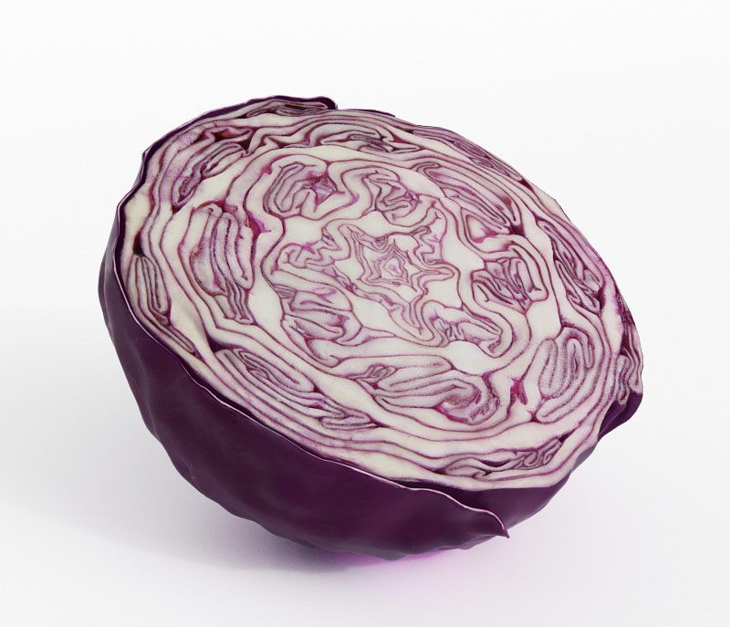 Cabbage 3D Model