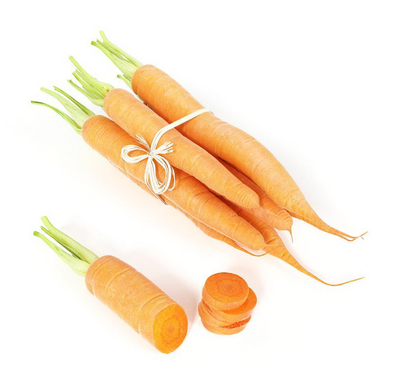 Carrot 3D Model