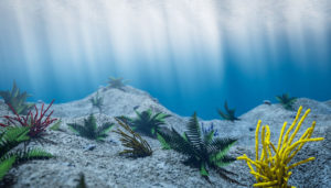 Cinema 4D Underwater Free Scene