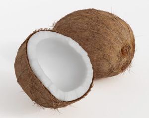 Coconut Free 3D Model