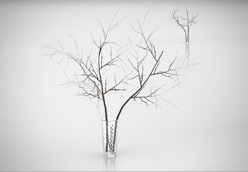 Decorative Branches 3D Model