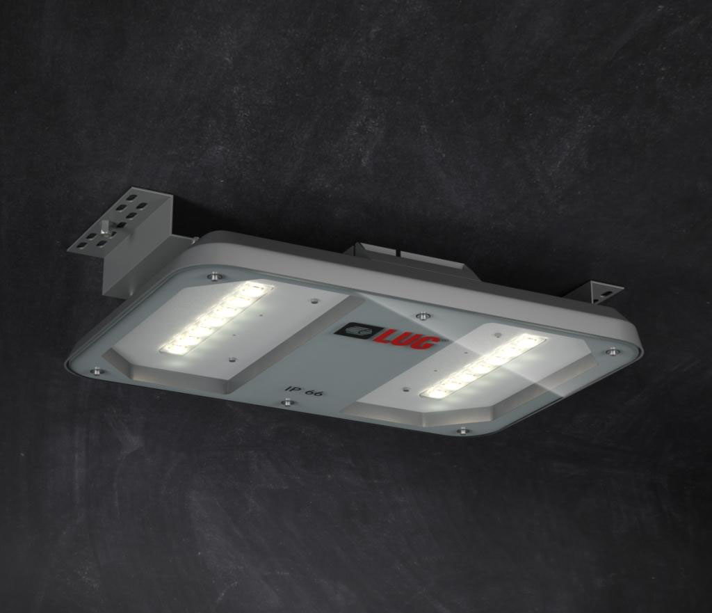 Emergency Ceiling Light 3D Model