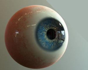 Eye Generator 3D Model