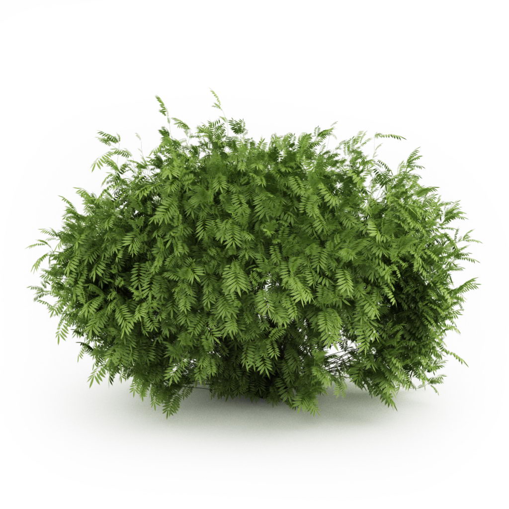 Free 3D Garden Plant