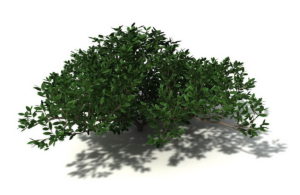 Free Cinema 4D Garden Plants