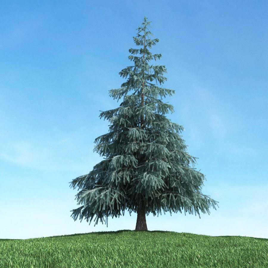 High quality Tree 3D Model