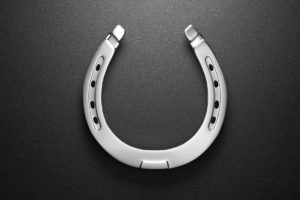 Horseshoe 3D Model