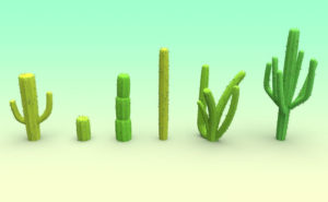 Low Poly Cactus Set 3D Model