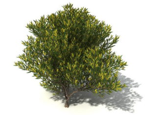 Medium Yellow Leaf Tree 3D Model