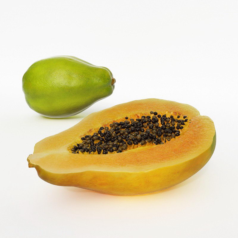 Papaya 3D Model