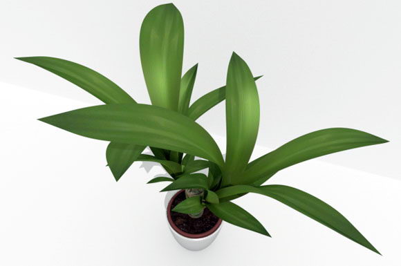 Pot Plant 3D Model