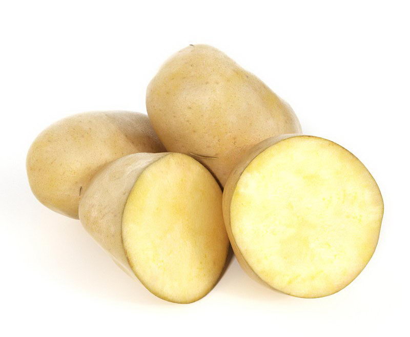 Potato 3D Model