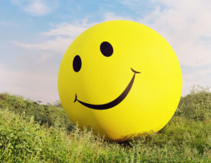 Smiley Ball 3D Model