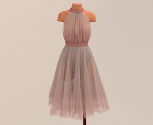 Soft Ballerina Dress 3D Model