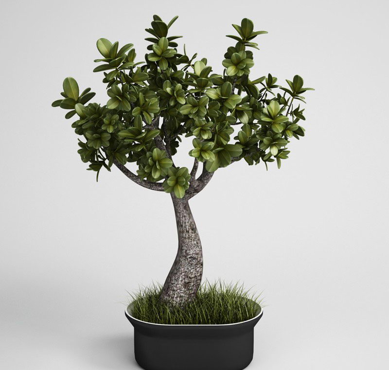 Tree with Flower Pot 3D