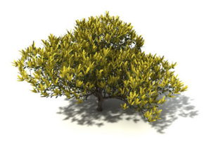 Yellow Leaf Tree 3D Model